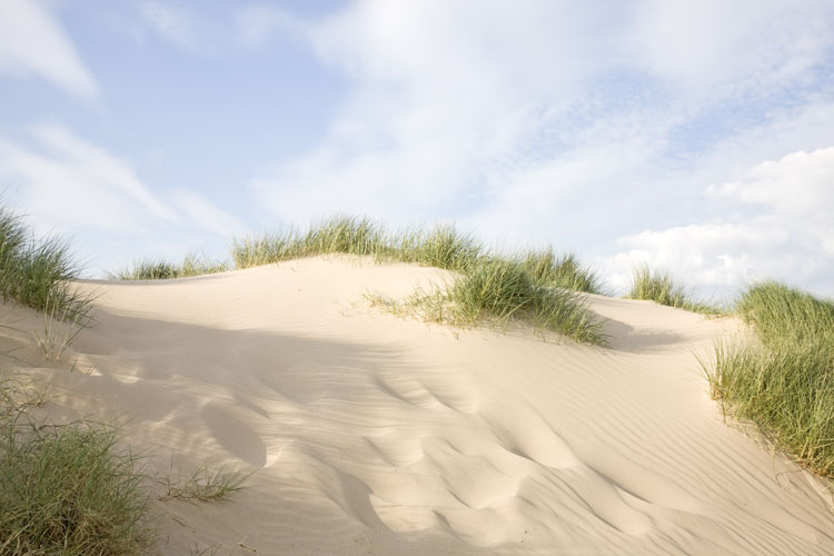 Holkham bay dunes, Norfolk