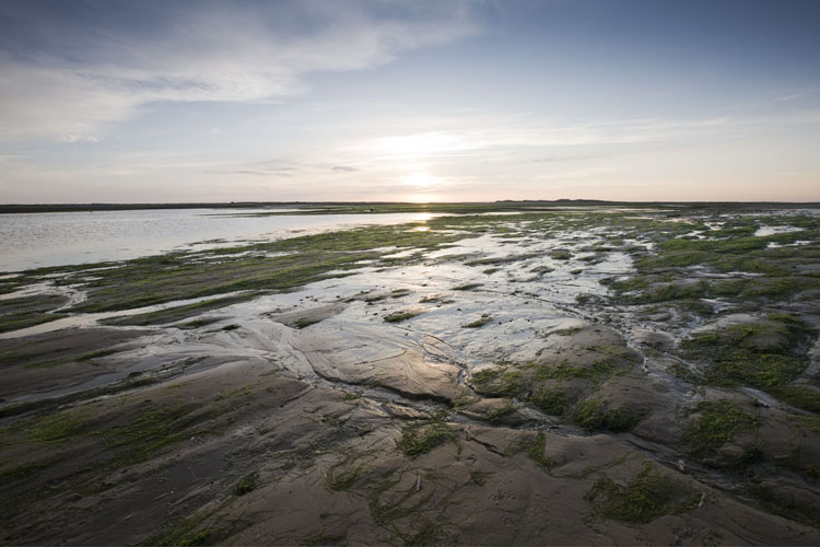 The sunset at North Norfolk coast 14