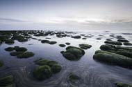 Boulders in Hunstanton, North Norfolk