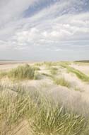 Dunes at the Holkham bay, Norfolk