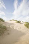 Holkham Bay dunes, Holkham, Norfolk