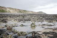 Low tide exposing stones and seaweed at West Runton beach, North Norfolk